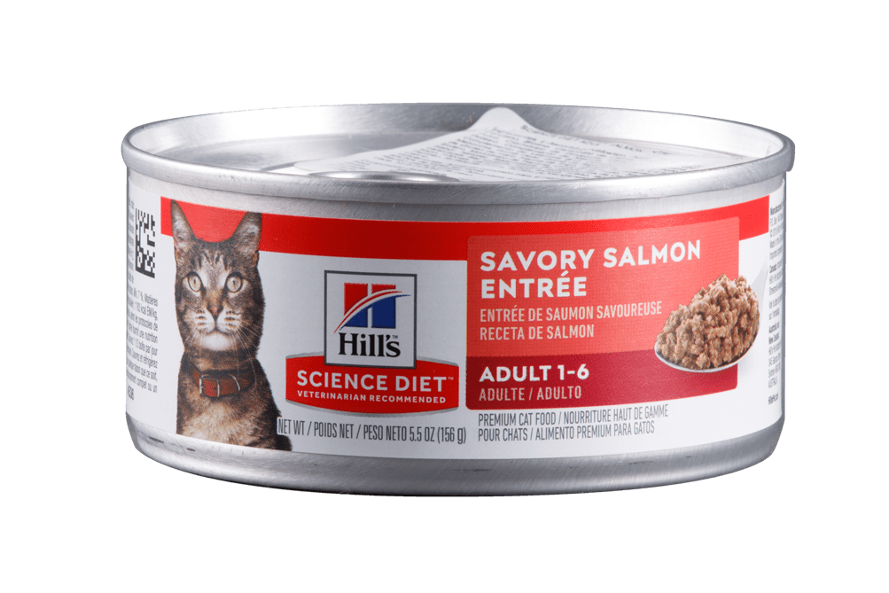 Hills Salmon Comida Húmeda Para Gato