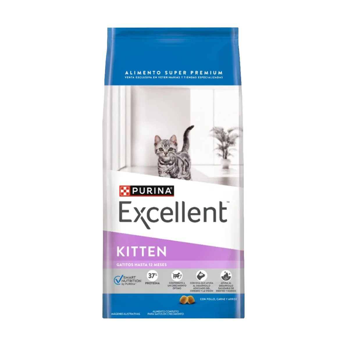 Excellent Kitten Gatitos Pollo y Arroz