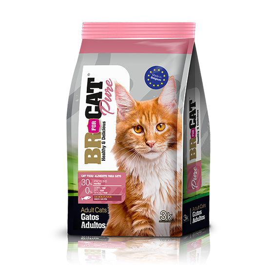 Br For Cat Adulto Salmon