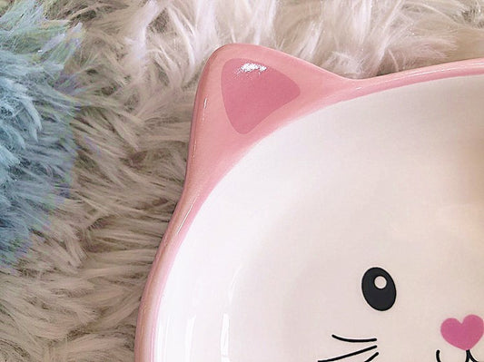 Comedero de Cerámica Plano para Gatos