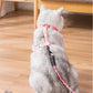 Traílla y Arnés para Gatos