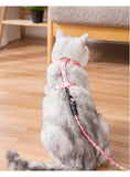Traílla y Arnés para Gatos