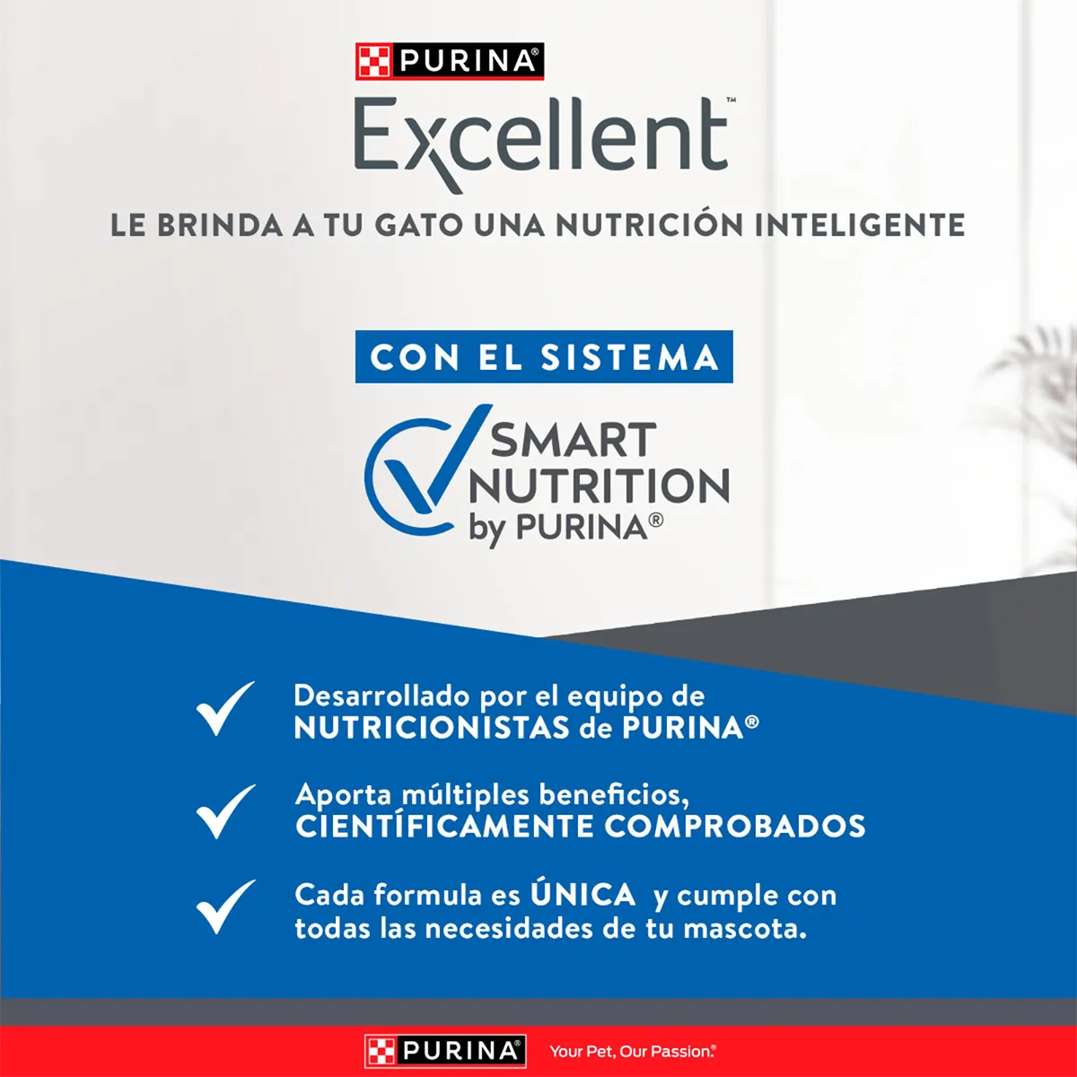 Excellent Gato Adulto Pollo y Arroz