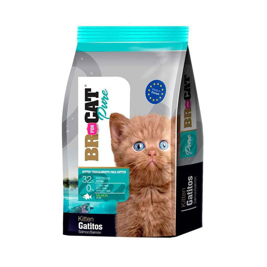 BR for CAT Pure Gatitos Salmón