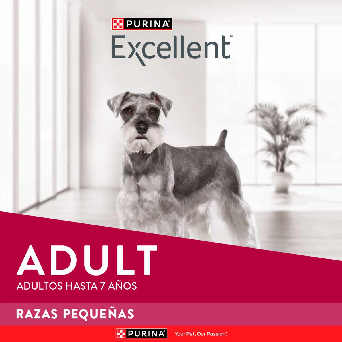 Excellent Adulto Razas Pequeñas