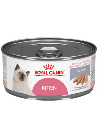 Royal Canin Kitten Loaf Lata